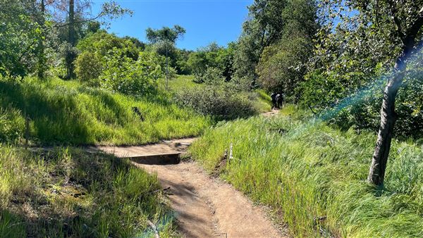 Descanso Gardens - Canyon View (3/7/2022 - Credits: Leo Fialho)