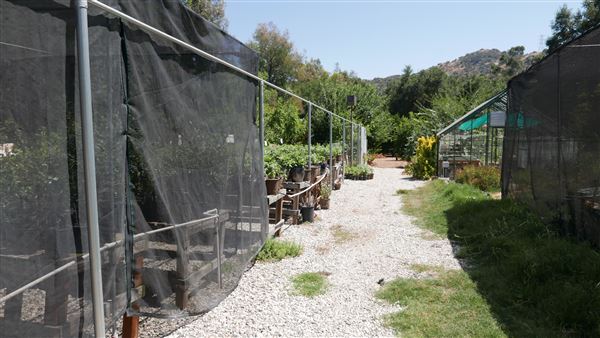 Descanso Gardens - Plant Propagation Greenhouse (7/26/2017 - Credits: Leo Fialho)