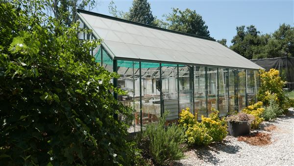 Descanso Gardens - Plant Propagation Greenhouse (7/26/2017 - Credits: Leo Fialho)