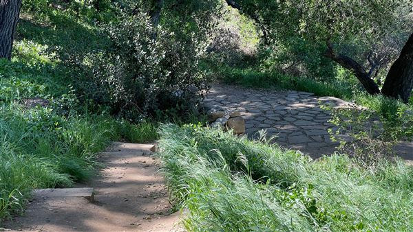 Descanso Gardens - Hopes Garden (3/7/2022 - Credits: Leo Fialho)