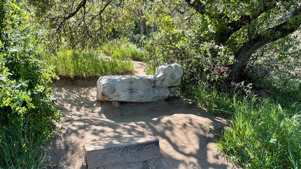 Descanso Gardens - Hopes Garden (3/7/2022 - Credits: Leo Fialho)