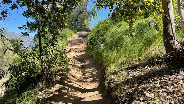 Descanso Gardens - Hopes Garden (3/7/2022 - Credits: Leo Fialho)