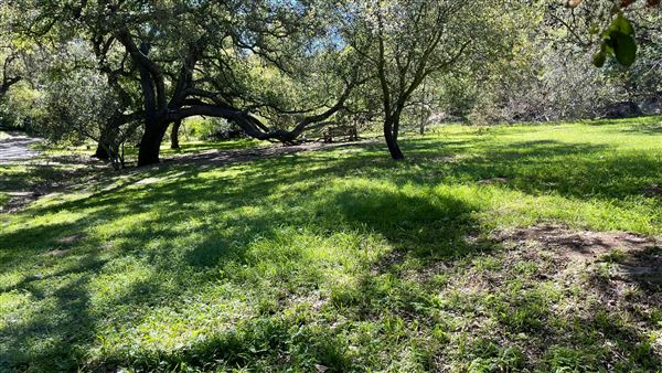 Descanso Gardens (3/7/2022 - Credits: Oak Grove)