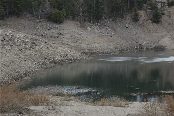 Crystal Lake Recreation Area / Campground - Angeles National Forest (1/30/2015 - Credits: Leo Fialho)