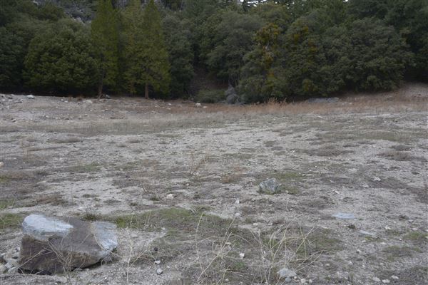 Crystal Lake Recreation Area / Campground - Angeles National Forest (1/30/2015 - Credits: Leo Fialho)