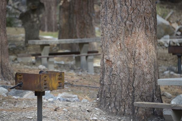 Crystal Lake Recreation Area / Campground - Angeles National Forest - Picnic Area (1/30/2015 - Credits: Leo Fialho)
