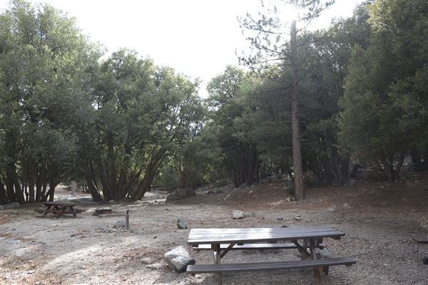 Crystal Lake Recreation Area / Campground - Angeles National Forest - Camping Loop A - Site 4 (1/30/2015 - Credits: Leo Fialho)