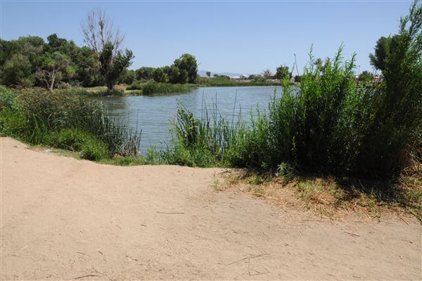 Mojave Narrows Regional Park - Pelican Lake (7/6/2012 - Credits: Leo Fialho)