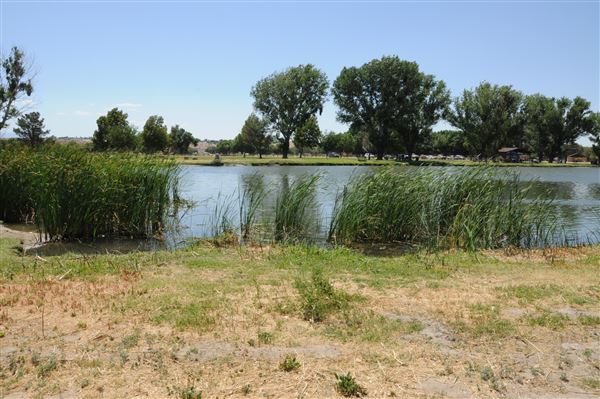 Mojave Narrows Regional Park - Pelican Lake (7/6/2012 - Credits: Leo Fialho)