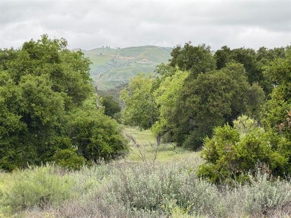 Big Sky Movie Ranch - Roads & Vistas & Forest (11/17/2025 - Credits: Owner)