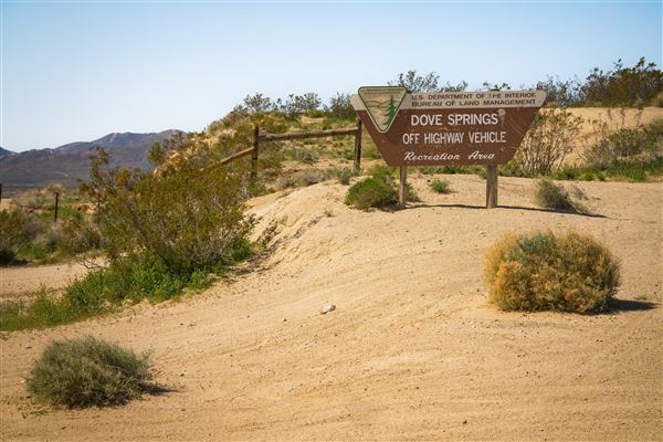 Dove Springs  B L M (12/8/2025 - Credits: Jesse Pluim - Bureau of Land Management)