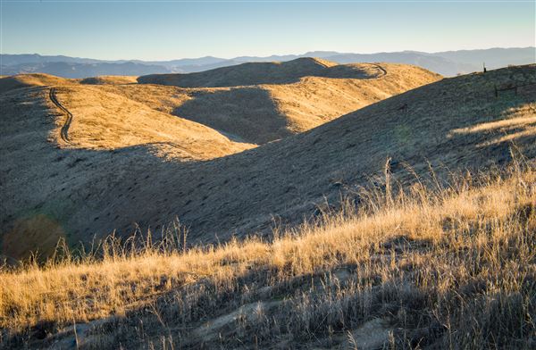 Panoche Hills - BLM (12/8/2025 - Credits: Jesse Pluim - Bureau of Land Management)