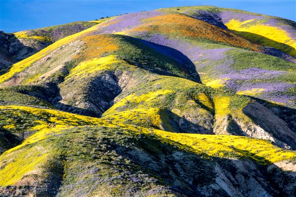 Carrizo Plain National Monument (12/11/2025 - Credits: Bob Wick - Bureau of Land Management)