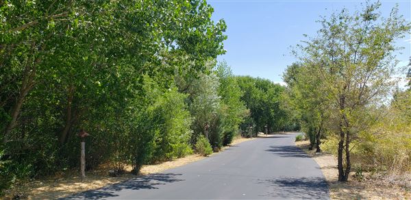 The Painted Turtle Camp - Paved Roads (7/17/2025 - Credits: David Halver)