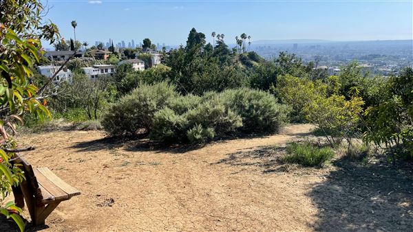 Griffith Park Redwoods - Cedar Grove - Cedar Grove Trail (3/16/2022 - Credits: Leo Fialho)