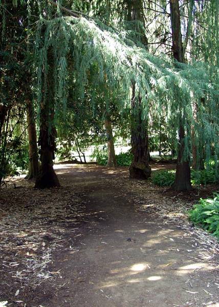 Los Angeles County Arboretum (12/31/2003)