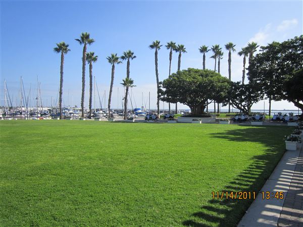 Cabrillo Marina (3/4/2026 - Credits: submitted by: Henry Rivas / 11.3.2023 Rivas)