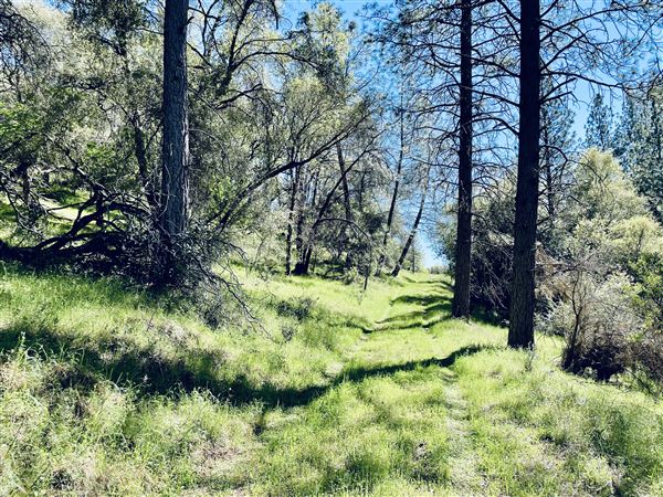Aukum Ranch (3/20/2026 - Credits: Jon Masters)