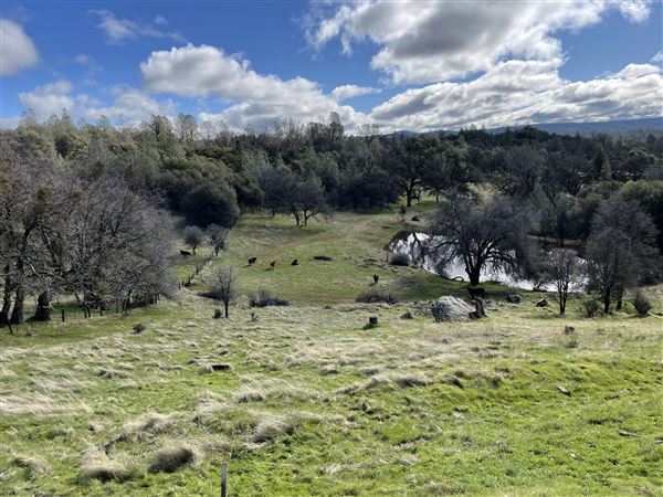 Aukum Ranch (3/20/2026 - Credits: Jon Masters)