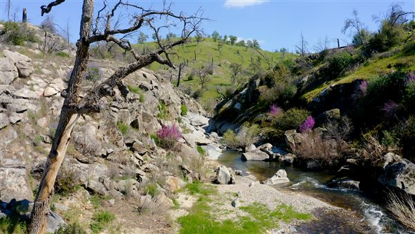 8,600 Acres in Mariposa & Madera County (3/21/2026 - Credits: Nicholas Padilla)