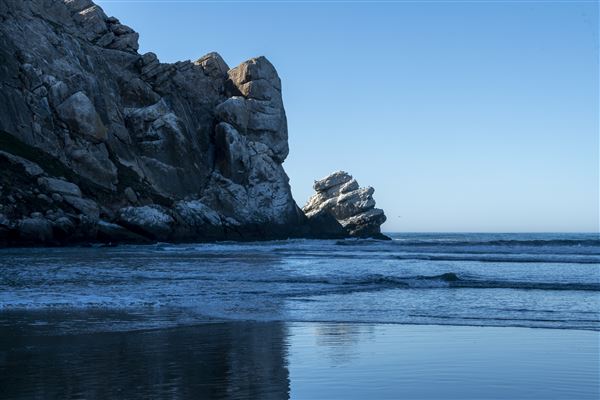 Morro Bay State Park (SP) (12/1/2021 - Credits: Brian Baer)
