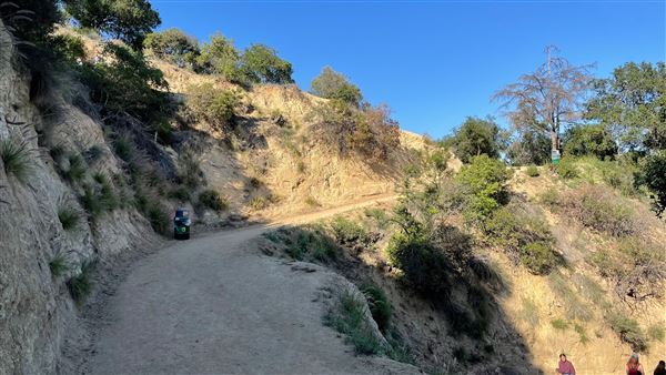 Boy Scout Trail - Griffith Park (3/6/2022 - Credits: Leo Fialho)