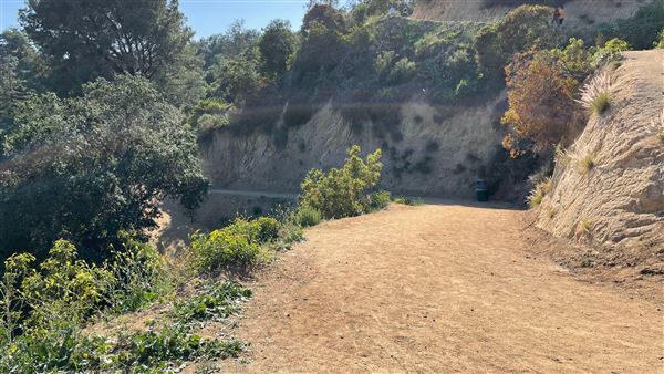 Boy Scout Trail - Griffith Park (3/6/2022 - Credits: Leo Fialho)