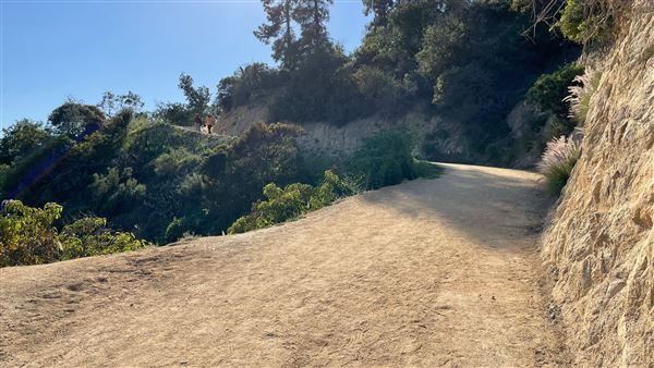 Boy Scout Trail - Griffith Park (3/6/2022 - Credits: Leo Fialho)