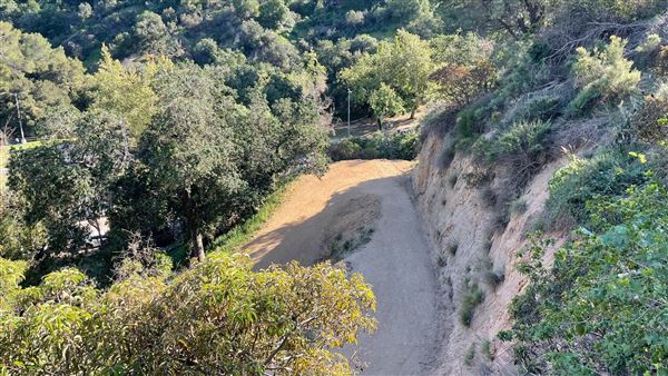 Boy Scout Trail - Griffith Park (3/6/2022 - Credits: Leo Fialho)