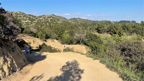 Boy Scout Trail - Griffith Park (3/6/2022 - Credits: Leo Fialho)
