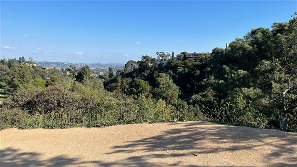 Boy Scout Trail - Griffith Park (3/6/2022 - Credits: Leo Fialho)