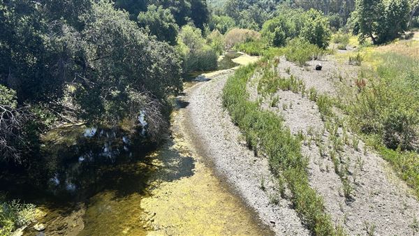 Peter Strauss Ranch - National Park Service (NPS) - View from Sheila Kuehl Bridge (5/8/2026 - Credits: Brandy Davis)