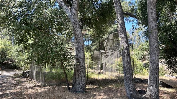 Peter Strauss Ranch - National Park Service (NPS) (5/8/2026 - Credits: Brandy Davis)