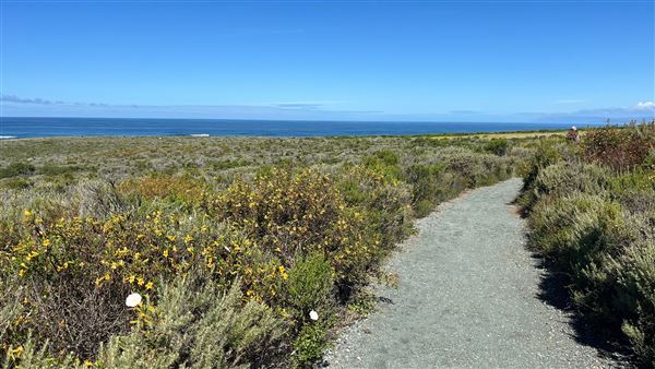 Montana de Oro State Park (SP) (4/22/2026 - Credits: Leo Fialho)