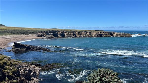 Montana de Oro State Park (SP) (4/22/2026 - Credits: Leo Fialho)