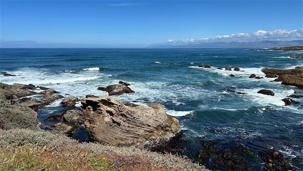 Montana de Oro State Park (SP) (4/22/2026 - Credits: Leo Fialho)