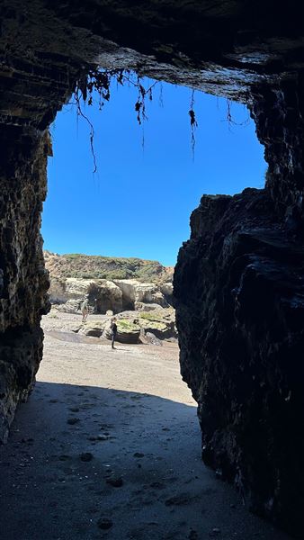 Montana de Oro State Park (SP) (4/22/2026 - Credits: Leo Fialho)