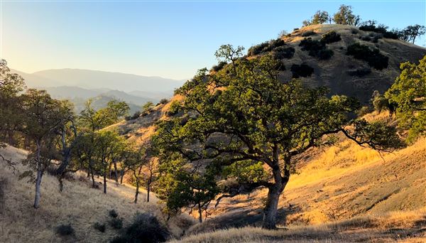 Solace Ranch & Vineyard (5/13/2026)