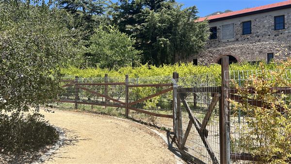 Deukmejian Wilderness Park (7/6/2026 - Credits: Brandy Davis)