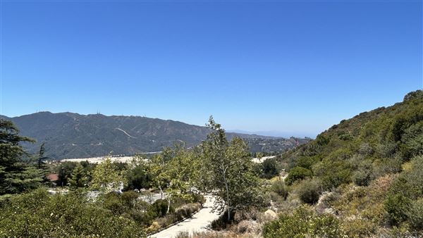 Deukmejian Wilderness Park (7/6/2026 - Credits: Brandy Davis)