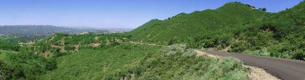 Mount Diablo State Park (SP) (12/31/2003)