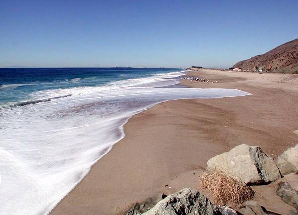 Point Mugu State Park (SP) - CFC (12/31/2003)